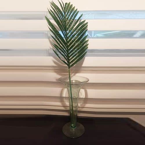 ענף דקל 80 ס"מ