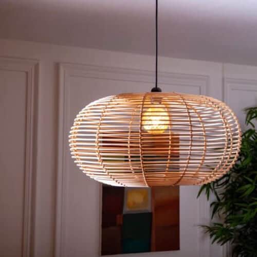 אהיל סאן פאולו 40 סמ