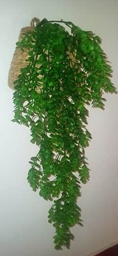 IMG_20210601_142524